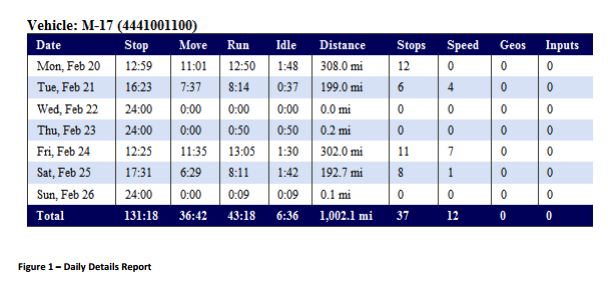 Magnum AVL GPS Daily Details Report