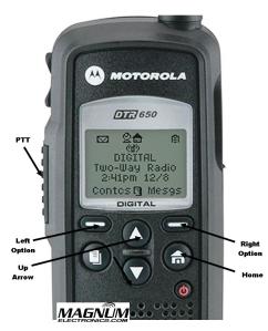 DTR Radio Button Labels